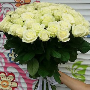 51 белая роза в Житомире фото