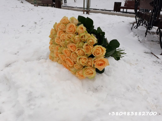 букет кремовых роз в Житомире фото