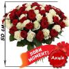 Фото товара 101 роза микс красная и белая (50 см) в Житомире