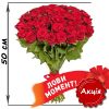 Фото товара 51 красная роза (50см) в Житомире