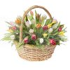 Фото товара 45 тюльпанов "Драже" в Житомире