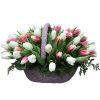 Фото товара 51 бело-розовый тюльпан в коробке в Житомире