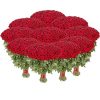 Фото товара Букет 1001 красная роза в Житомире