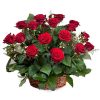 Фото товара 21 красная роза в корзине в Житомире