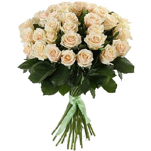 Фото товара 33 кремовые розы в Житомире