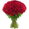 Фото товара 75 красных роз в Житомире