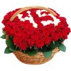 Фото товара 101 роза с числами в корзине в Житомире