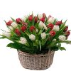 Фото товара 51 тюльпан в корзине в Житомире