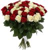 Фото товара 51 роза красная и белая в Житомире