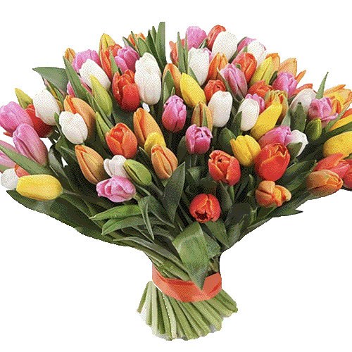 Фото товара 101 разноцветный тюльпан в Житомире
