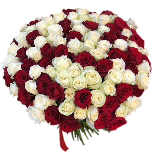 Фото товара 101 красная и белая роза в Житомире