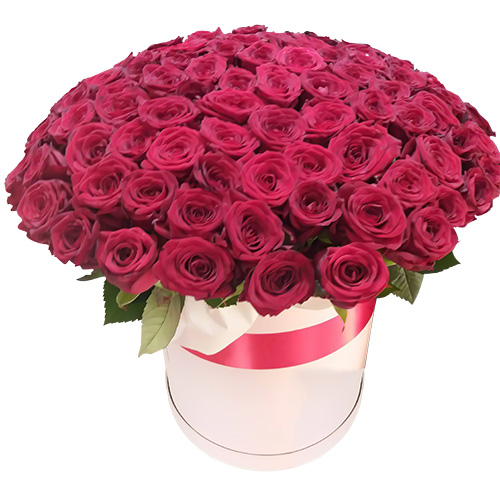 Фото товара 101 роза красная в шляпной коробке в Житомире