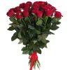 Фото товара 51 роза "Фридом" метровая в Житомире