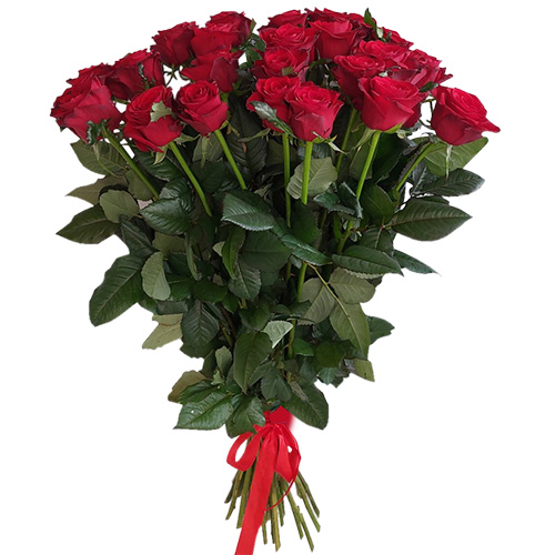 Фото товара 21 красная роза в Житомире