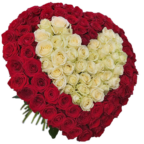 Фото товара Сердце 101 роза - красная, белая в Житомире