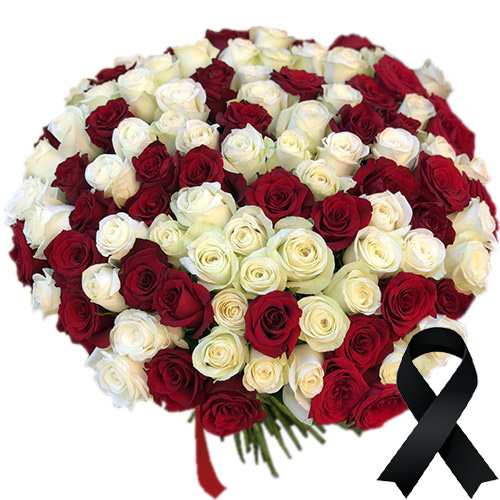 Фото товара 100 красно-белых роз в Житомире
