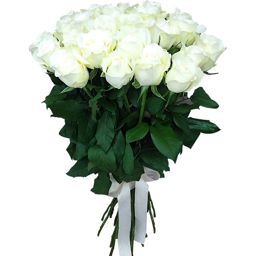 Фото товара 25 белых роз в Житомире