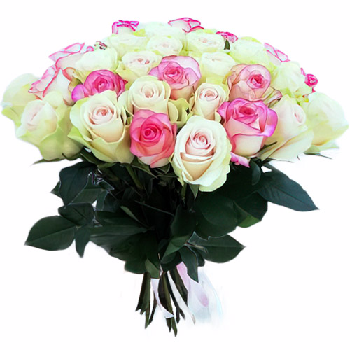 Фото товара 33 кремовые и розовые розы в Житомире