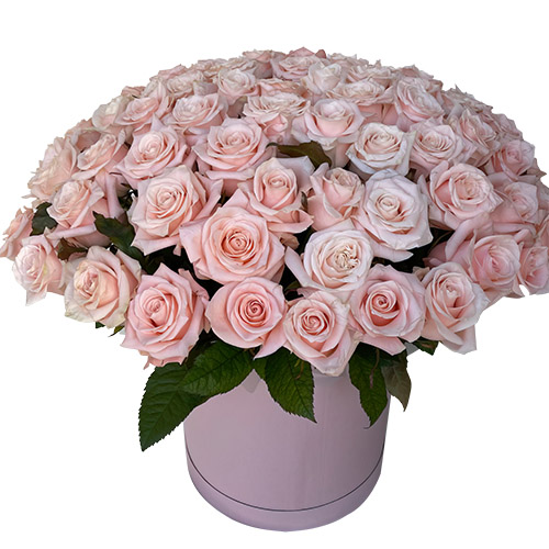 Фото товара 101 розовая роза в коробке в Житомире