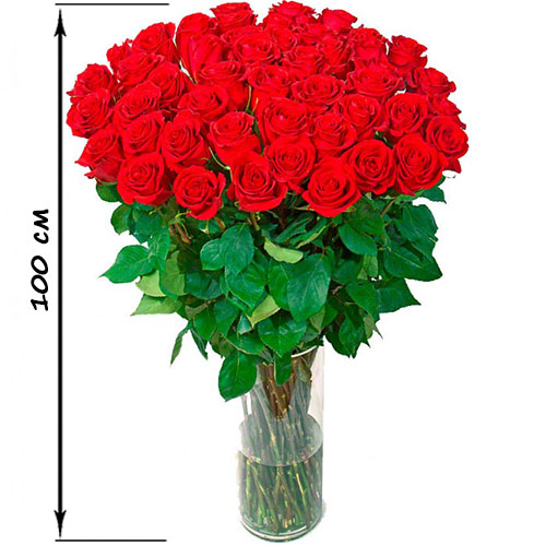 Фото товара 35 высоких роз (100 см) в Житомире