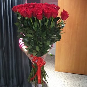 25 високих імпортних троянд в Житомирі фото