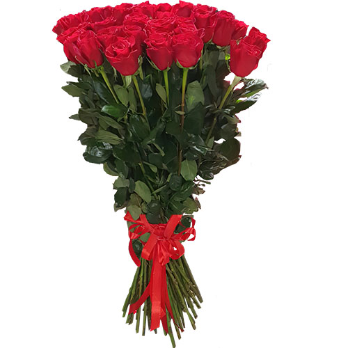Фото товара 25 метровых роз "Фридом" в Житомире