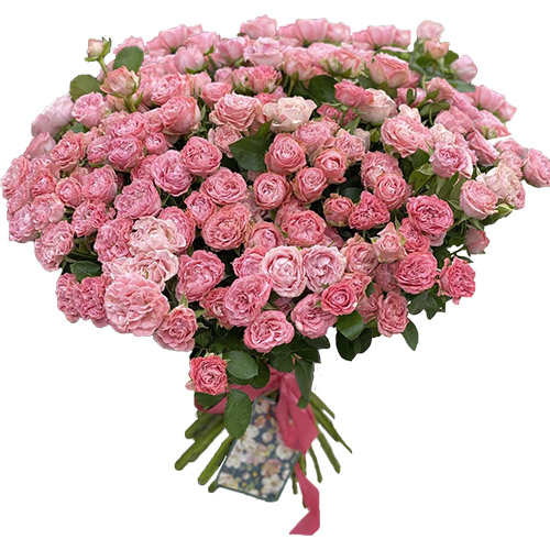 Фото товара 33 кустовые пионовидные розы в Житомире