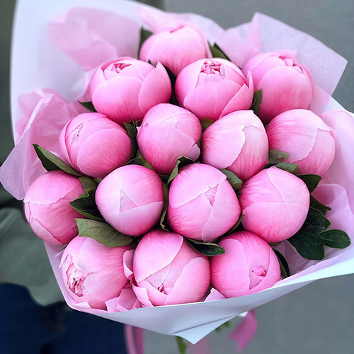 Фото товара 15 розовых пионов в Житомире