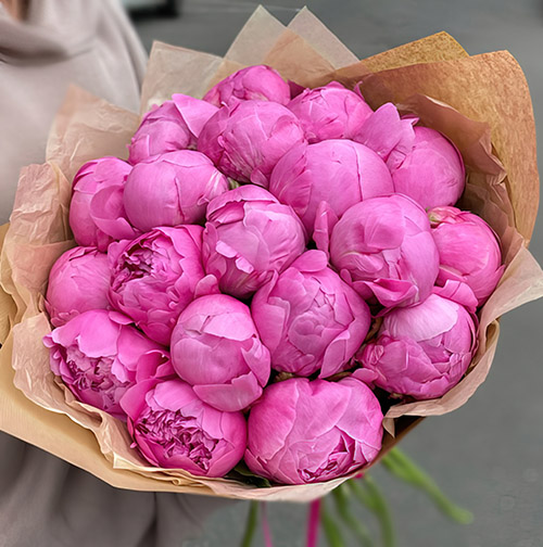 Фото товара 21 розовый пион в крафт в Житомире