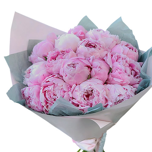 Фото товара 19 розовых пионов в Житомире