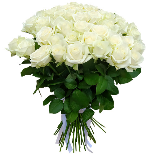 Фото товара 51 троянда біла в Житомире