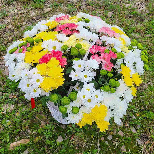 великий букет хризантем в кошику в Житомирі фото