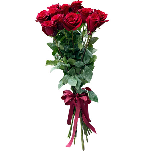 Фото товара 11 метровых роз в Житомире