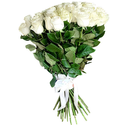 Фото товара 33 белые розы в Житомире