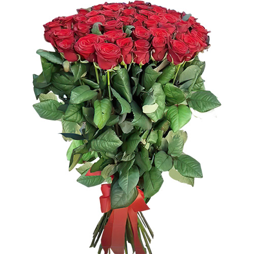 Фото товара Букет троянд 51 червона в Житомире