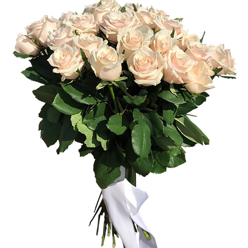 Фото товара Букет из 33 кремовых роз в Житомире
