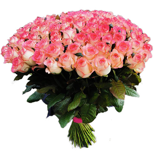 Фото товара Букет троянд 101 Джамілія в Житомире