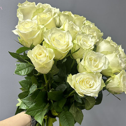 фото товара 15 белых роз